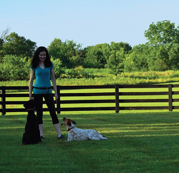 Mindful Dog Contact Mobile