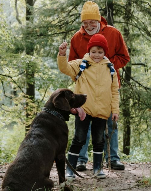 Dogs, Babies, and KidsProgram