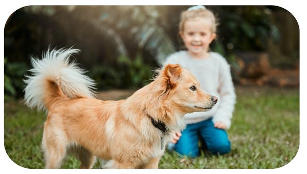 The Mindful Dog- Dogs, Babies and Kids- Coaching (1)
